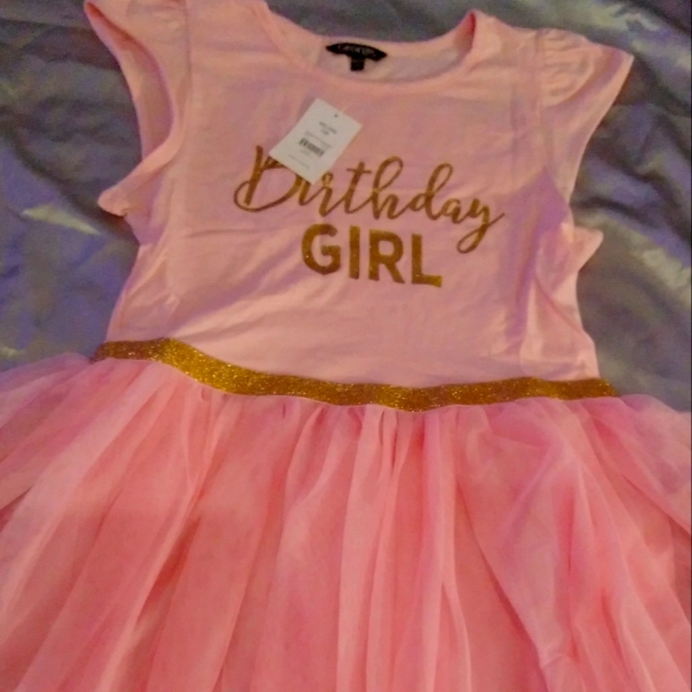 New Girls pink dress with tulle trim size 18
